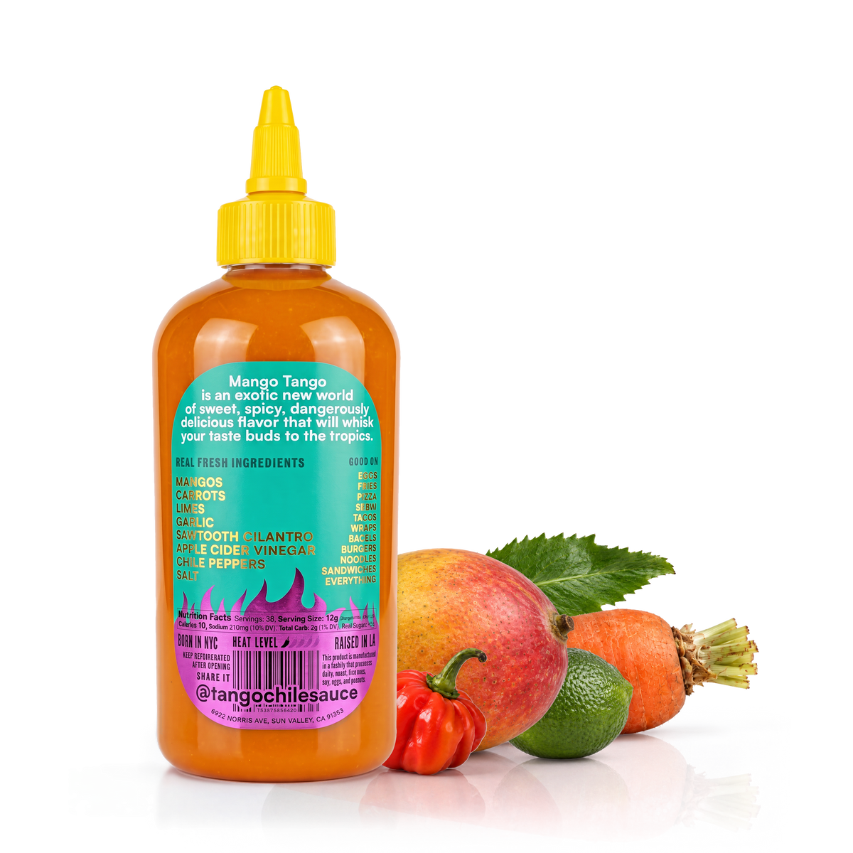 mango ingredient back